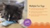 Show in main carousel: Catstages Kitty Sweet Treats Plush Catnip Cat Toys, Multicolor, 6 count slide 10 of 11