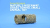 Show in main carousel: Prevue Pet Products Nature's Hideaway Grass Tunnel Small Animal Toy, 13.5-in slide 10 of 11