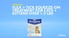 Show in main carousel: PetArmor Flea & Tick Spot Treatment for Cats, over 1.5 lbs, 3 Doses (3-mos. supply) slide 8 of 11