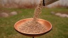 Show in main carousel: Audubon Park Sunflower Hearts Wild Bird Food, 15-lb bag slide 10 of 11