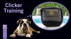 Show in main carousel: Starmark Pro-Training Quicker Clicker for Dogs slide 6 of 6