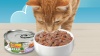 Show in main carousel: Friskies Farm Favorites Chicken & Carrots & Salmon & Spinach Pate Wet Cat Food Variety Pack, 5.5-oz can, case of 24 slide 10 of 11