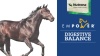 Show in main carousel: Nutrena Empower Digestive Balance Horse Supplement, 40-lb bag slide 9 of 10