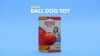 Show in main carousel: KONG Ball Dog Toy, Medium slide 6 of 7