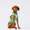 Show in main carousel: GF Pet Elastofit Dog Ice Vest, Aqua, XX-Large slide 8 of 8