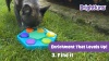 Show in main carousel: Brightkins Spin & Seek Hexagon Treat Dispensing Dog Toy, Multi Color, 9.84 x 8.5 x 1.77-in slide 8 of 9