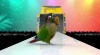 Show in main carousel: Birds LOVE Economy Millet Sun Dried Bird Food, 7-oz bag slide 10 of 11