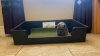 Show in main carousel: Piggy Poo and Crew Litter Box for Animals Big or Small, X-Large slide 10 of 11