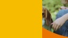 Show in main carousel: Zesty Paws 8-in-1 Bites Chicken Flavored Soft Chews Multivitamin for Dogs, 10 count slide 10 of 11