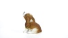 Show in main carousel: Hi-Line Gift Basset Hound Puppy Howling Statue, 6.42-in slide 8 of 8