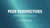 Peer perspective video
