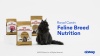Show in main carousel: Royal Canin Feline Breed Nutrition Bengal Adult Dry Cat Food, 7-lb bag slide 11 of 12