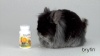 Show in main carousel: Brytin Stabilized Vitamin C Rabbit Supplement, 90 count slide 2 of 2
