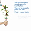 Show in main carousel: Prevue Pet Products Playfuls Birds of Paradise Swing Bird Toy, Multicolor slide 8 of 9