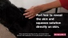Show in main carousel: K9 Advantix II Flea & Tick Spot Treatment for Dogs, 11-20 lbs,12 Doses (12-mos. supply) slide 8 of 9