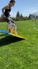 Show in main carousel: Better Sporting Dogs Dog Agility A-frame slide 8 of 8