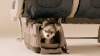 Show in main carousel: Tavo Pets Dupree II Airline Carry-On Dog & Cat Car Seat, Onyx slide 9 of 10