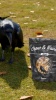 Show in main carousel: Mycelium Feeds High Energy Grain & Nut Mix with Sunflower Seed & Peas Blends Crow & Raven Food, 5-lb bag slide 10 of 10
