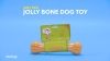 Show in main carousel: Jolly Pets Jolly Bone Dog Toy, Orange, 9-in slide 6 of 7