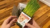 Show in main carousel: Pet Greens Live Grass Cat Treat, 3 count slide 10 of 11