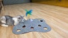Show in main carousel: PawsPik Tumbling 3-in-1 Hide & Seek Cat Toy slide 10 of 12