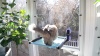 Show in main carousel: Luli & Cat Cat Window Perch, Blue slide 7 of 7