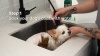 Show in main carousel: Earth Rated 3-in-1 Soothing Dog Shampoo & Conditioner, White Tea & Basil Scent, 16-fl oz bottle slide 9 of 10