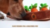 Show in main carousel: Nocciola Carrot Patch Squeaky Plush Puzzle Dog Toy slide 8 of 9