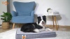 Show in main carousel: LaiFug Orthopedic Flat Dog Bed with Removable Cover, Grey Blue Plaid, Small slide 8 of 8