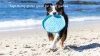 Show in main carousel: Project Hive Pet Company Hive Soothing Vanilla Scented Disc & Lick Mat Dog Toy, Blue slide 8 of 8