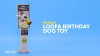Show in main carousel: Multipet Loofa Birthday Squeaky Plush Dog Toy, Color Varies, 12-in slide 8 of 9