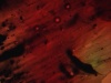 Reel 7 thumbnail