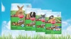 Show in main carousel: Kaytee Fiesta Gourmet Variety Diet Guinea Pig Food, 4.5-lb bag slide 10 of 15
