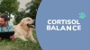 Show in main carousel: Wonder Paws Melatonin & L-Theanine Bacon Flavored Liquid Calming Supplement for Dogs, 2-fl oz bottle slide 9 of 10