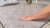 Show in main carousel: FXW Washable Dog Pee Pads, Rectangle: 29 x 18-in, 2 count slide 6 of 7