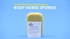 Show in main carousel: Decker Manufacturing Company Body Horse Sponge slide 4 of 4