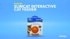 Show in main carousel: PetSafe SlimCat Interactive Cat Feeder, Blue, 0.66-cup slide 9 of 11