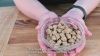Show in main carousel: Vetafarm South American Mix Bird Food for Birds, 12.3-oz bag slide 10 of 11