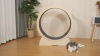 Show in main carousel: Coziwow Exercise Wheel with Lock & Teaser Cat Treadmill slide 10 of 11