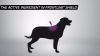 Show in main carousel: Frontline Shield Flea & Tick Treatment for Extra Small Dogs, 5 - 10 lbs, 12 Doses (12-mos. supply) slide 10 of 11