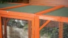 Show in main carousel: Coziwow Outdoor Wooden Cat Cage Playpen, Orange slide 11 of 12