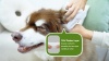Show in main carousel: PawSono Dog & Cat Ear Finger Cleaner Wipes, 50 count slide 10 of 10