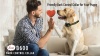 Show in main carousel: GroovyPets Rechargeable Waterproof Barking Control Automatic Anti Bark Dog Collar slide 7 of 9