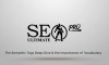 SEO Ultimate PRO WordPress SEO Plugin Semantic Tags Deep Dive