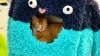 Show in main carousel: PAWZ Road 28-in Polyester 2 in 1 Cartoon-Themed Cat Tree Tower & Condo, Blue, Small slide 9 of 9