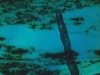 Okeanos thumbnail