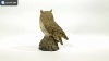 Show in main carousel: Hi-Line Gift 6.42-in Motion Activated Singing Long Eared Owlet Standing On Stump Outdoor Decor slide 8 of 8