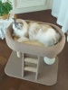Show in main carousel: Fairela Multi-Level Cat Climbing Tower with Natural Sisal Scratching Posts, Cooling Lounger Bed & Rope Ladder, Beige, 23 x 15.5 x 18.5-in slide 10 of 11