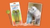 Show in main carousel: Meowijuana Lollies Silvervine Sticks with Catnip, 3 count slide 9 of 9