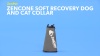 Show in main carousel: ZenPet ZenCone Soft Recovery Dog & Cat Collar, Large slide 8 of 9